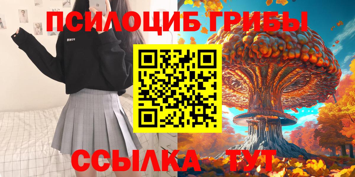 Галлюциногенные грибы GOLDEN TEACHER  Будённовск  Галлюциногенные грибы ЛСД 