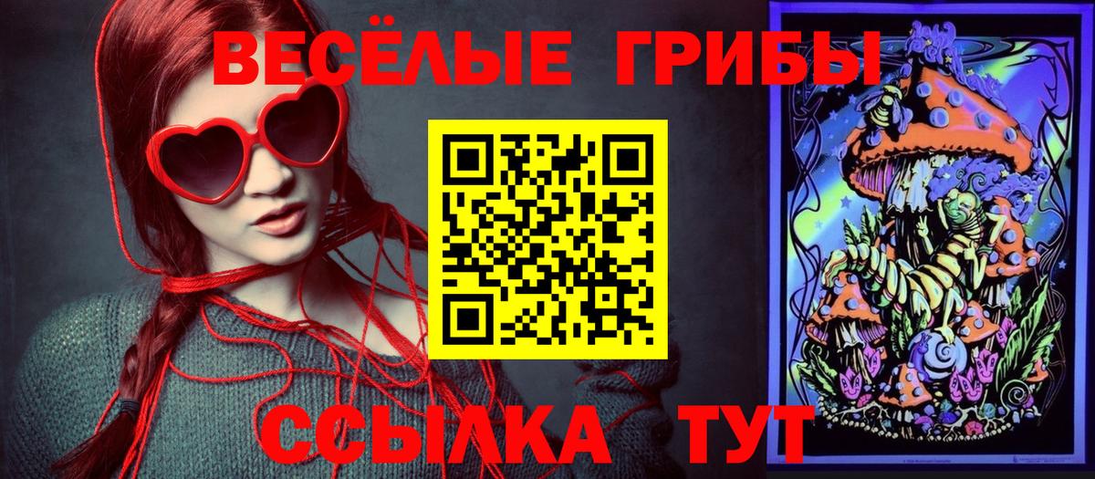 Псилоцибиновые грибы Magic Shrooms Будённовск