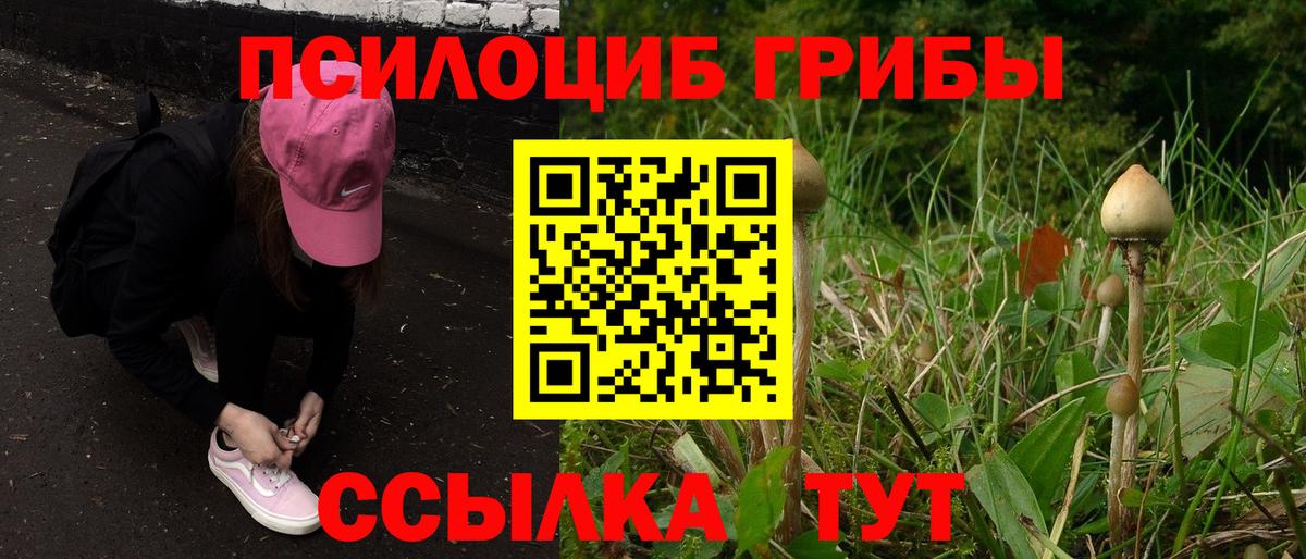 Псилоцибиновые грибы Psilocybe  Вход с VPN  Будённовск  Галлюциногенные грибы прущие грибы 