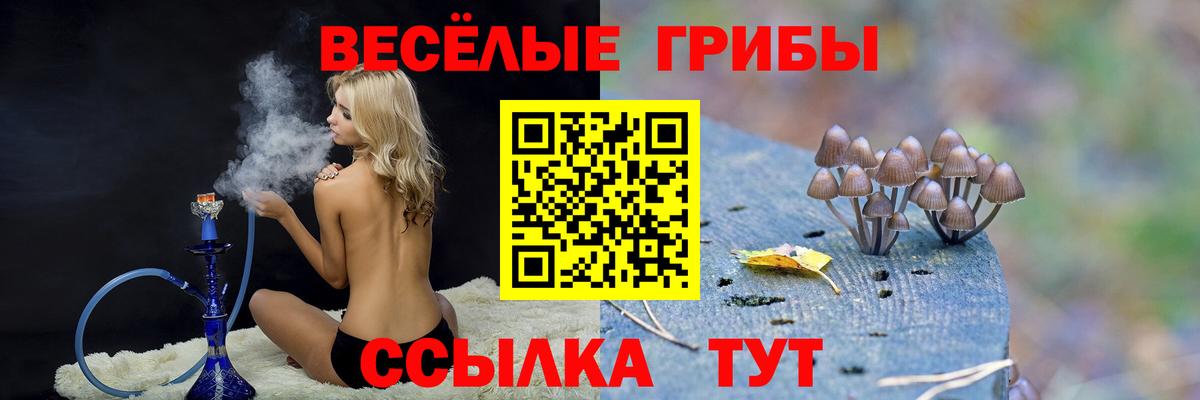 Псилоцибиновые грибы Magic Shrooms Будённовск